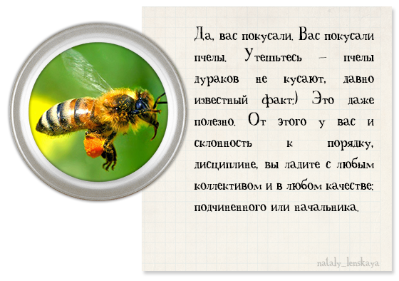 Если тебя укусила оса впр. Стих про пчелу. Статус про пчел.
